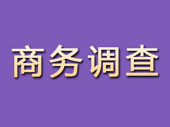 平遥商务调查